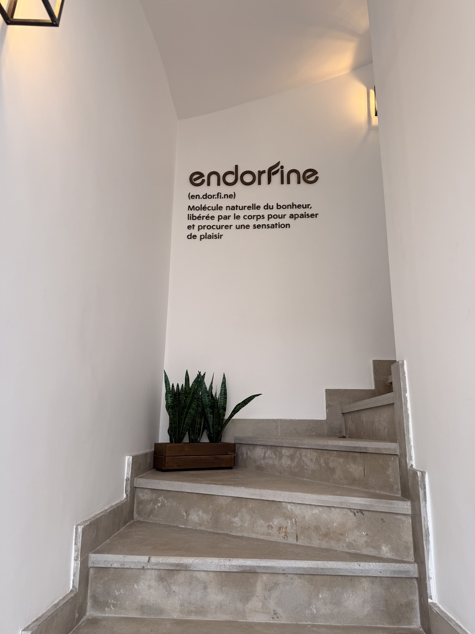 Endorfine
